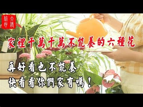 家裡不能種的花|家裡不能種什麼花？